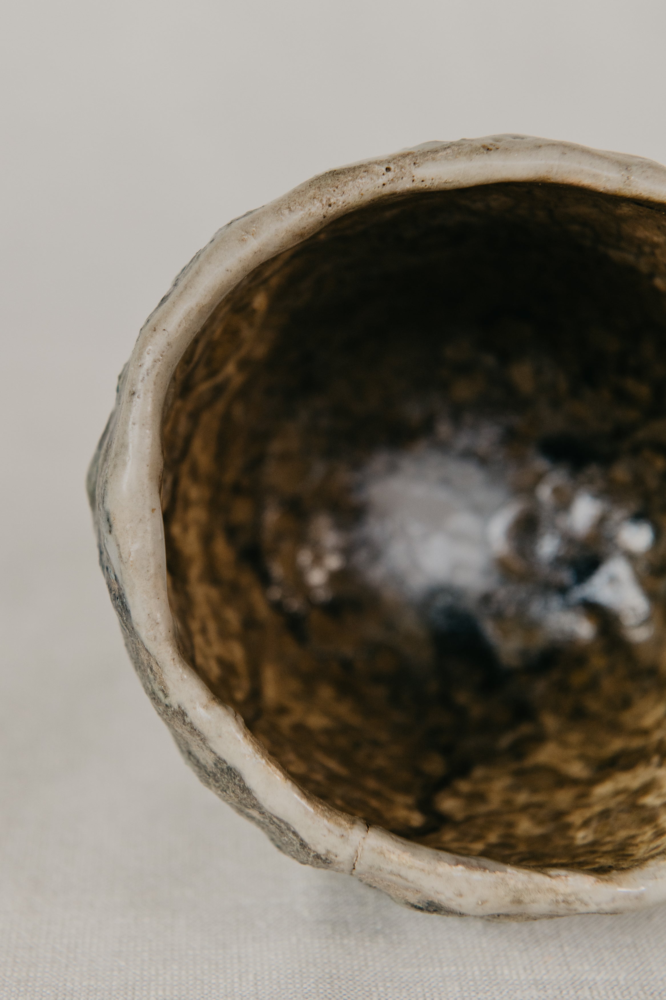 Small animal inside a textured ceramic bowl on a neutral background