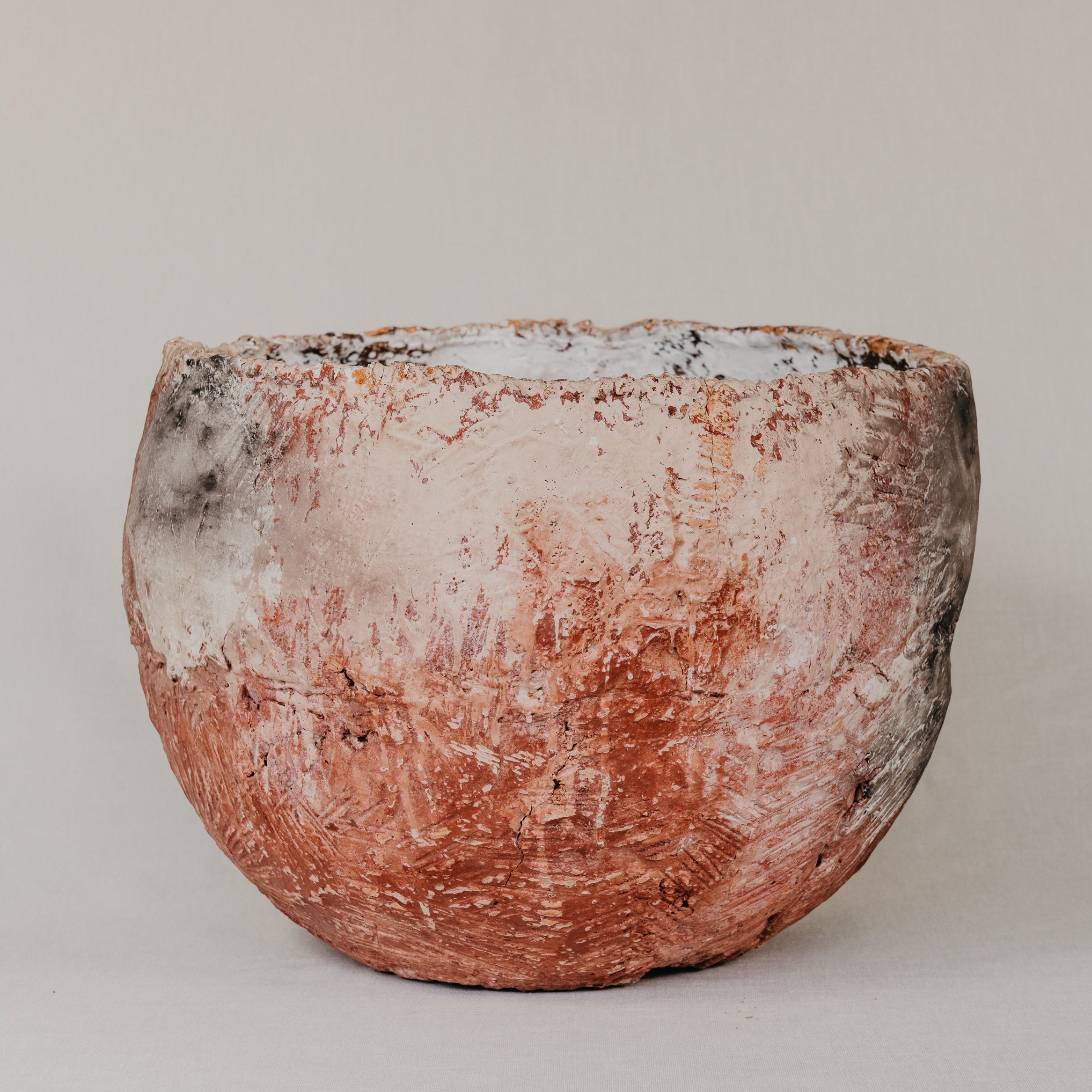 Terracotta pot with a rustic finish on a plain background
