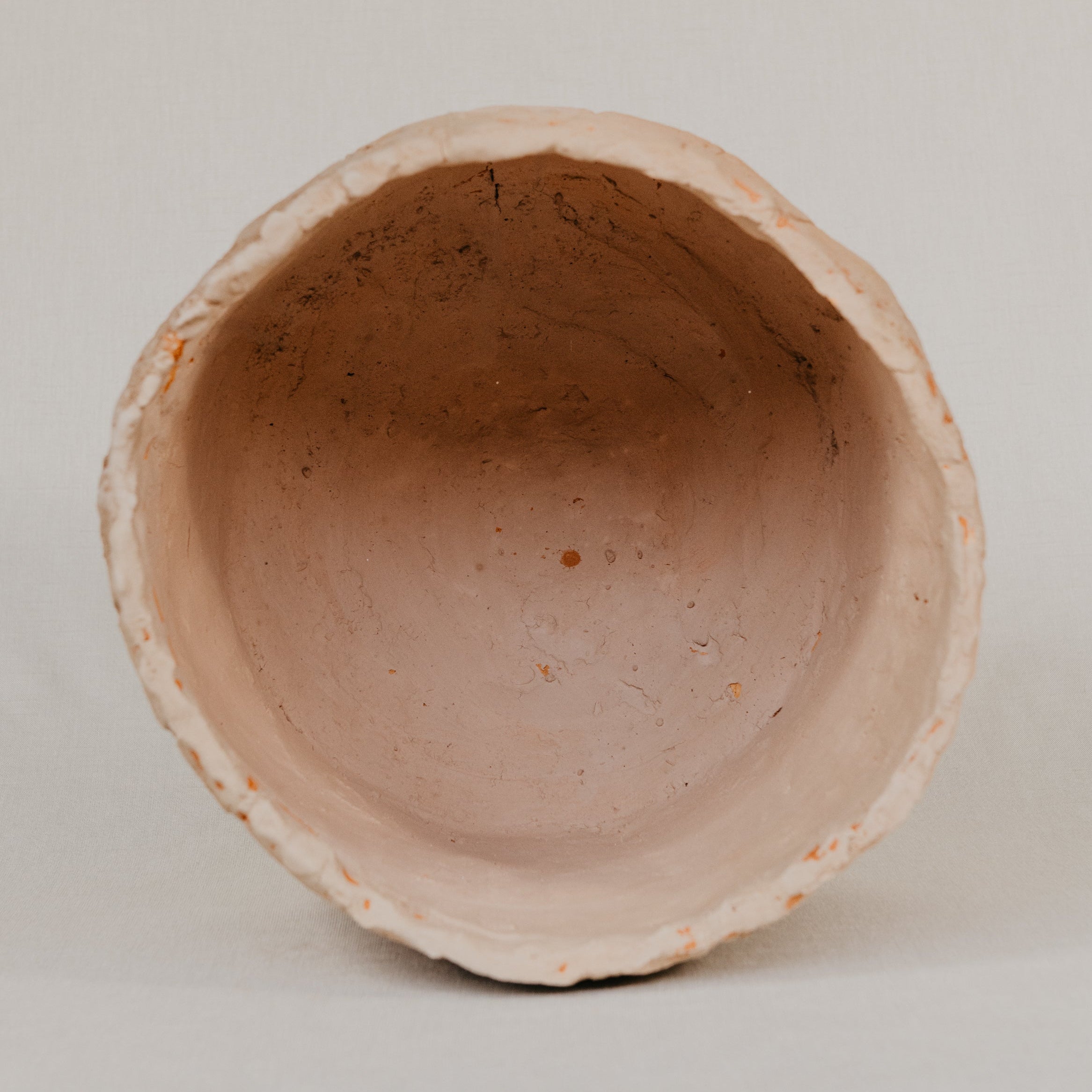 Terracotta pot on a light gray background
