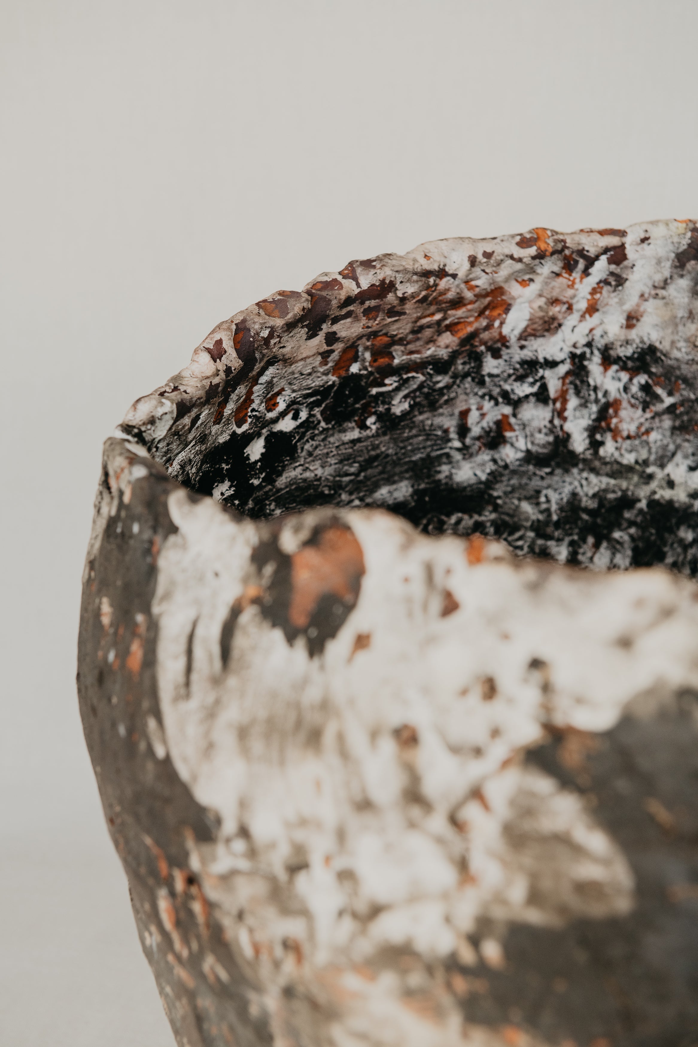 Close-up of a textured ceramic pot with a neutral background